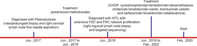 Angioimmunoblastic T-cell lymphoma with extensive follicular dendritic cell and fibroblastic reticular cell network proliferation mimicking follicular dendritic cell sarcoma: A case report with pathologic, immunophenotypic, and molecular findings